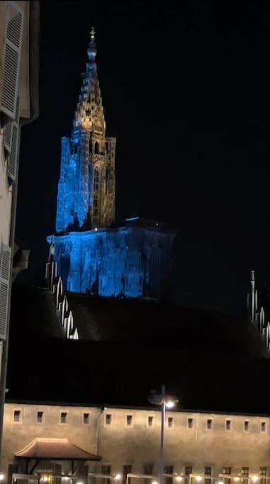 Luxueux Appartement Pres De La Cathedrale Στρασβούργο Εξωτερικό φωτογραφία